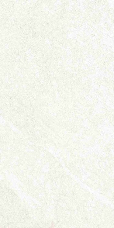 Dhara White Matte 12 x 24